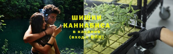 ALPHA-PVP Козловка