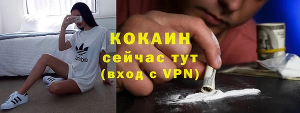 дживик Коряжма