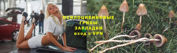 таблы Козельск