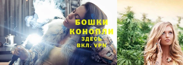 таблы Козельск